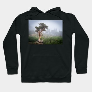 Elf Wood Hoodie